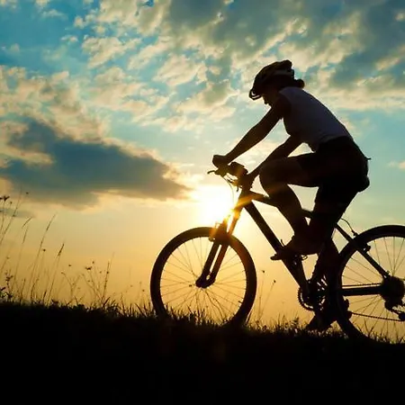 Hostel Apartments And Guest Rooms 