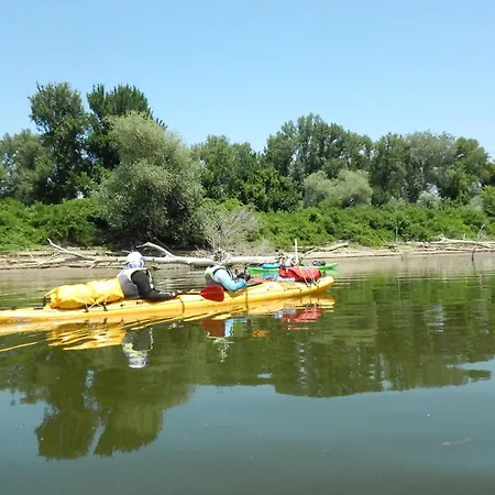 Apartments And Guest Rooms 